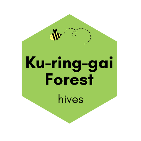 Kur-ing-gai Forest Hive - Spring