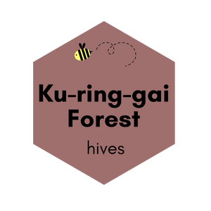 Kur-ing-gai Forest Hive - Autumn