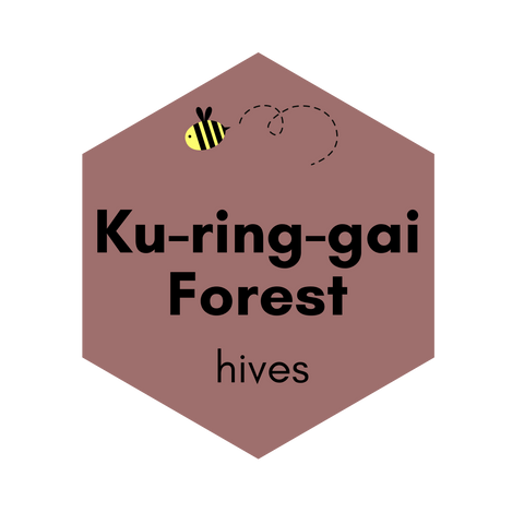 Kur-ing-gai Forest Hive - Autumn