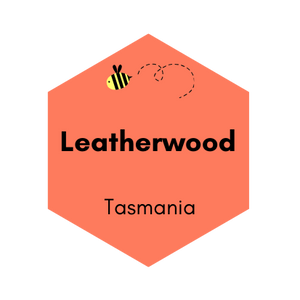 Tasmanian Leatherwood