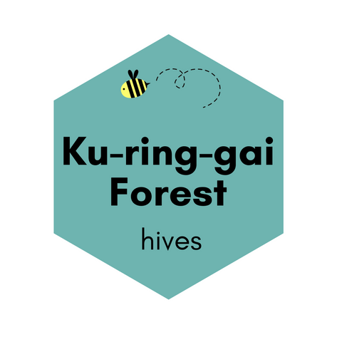 Kur-ing-gai Forest Hive - Winter