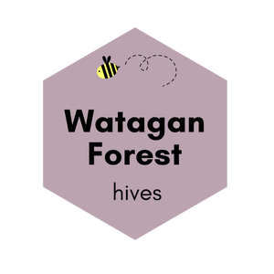 Watagan Forest Hives