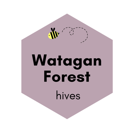 Watagan Forest Hives