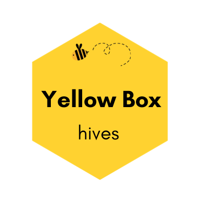Sydney Yellow Box honey