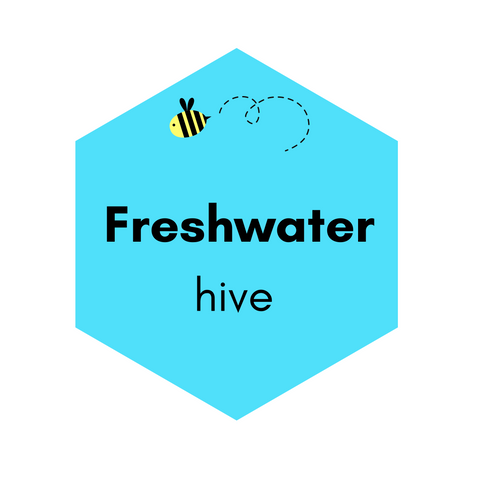 *NEW BATCH* Freshwater Hive